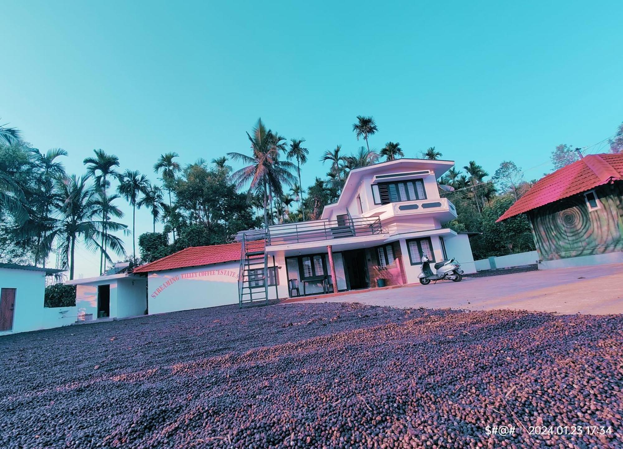 Streaming Valley Independent Coffee Estate Stay Madikeri Exterior foto
